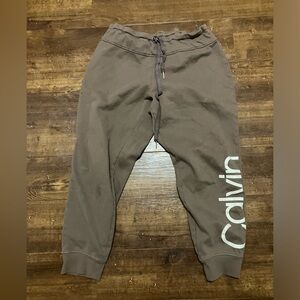 Calvin Klein Taupe Joggers with Logo